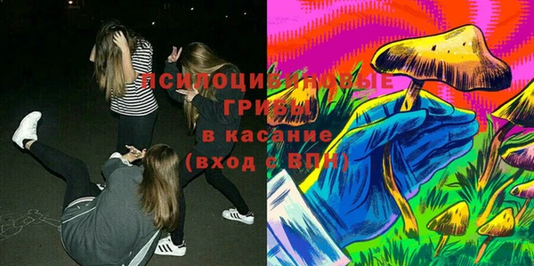 2c-b Богородицк